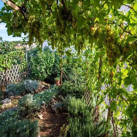 In - Insel Krk 13597 Appartamento *